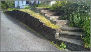 Driveway Before